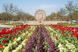 Maybe you would like to learn more about one of these? Graduate Student Fellowships Engineering A Global Future Whitacre College Of Engineering Ttu