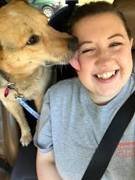 ADOPTING AN OLDER PET—A GOOD CHOICE FOR YOU?