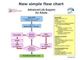 arc resuscitation guidelines changes 2010