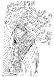 Pin By Sara Ssy On Drawing Horse Coloring Pages Animal Coloring Pages Horse Coloring