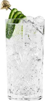 Gin And Tonic Recipe How To Make The Perfect G T Hendrick S Gin Recipe Gin And Tonic Hendricks Gin Tonic Recipe