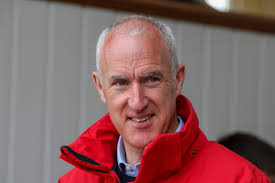 Guineas HIT Sale 2023