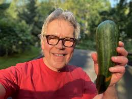 Cucumber or squash in my garden?