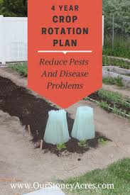 If annual vegetable crops are grown in the same place year after year, there is a in this case reduce. A Simple 4 Year Crop Rotation Plan Our Stoney Acres