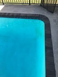 Is This Yellow Mustard Algae Trouble Free Pool