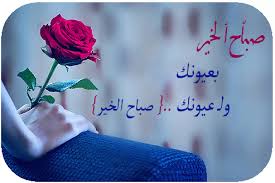 صور احلى صباح الخير على الحلوين صور صباح الورد على الغالين صوررررررر fatma7072 good morning arabic arabic books tattoo quotes
