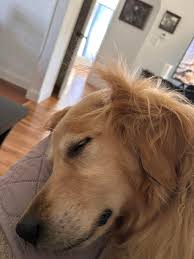 99biker 的照片· 2024年9月10日