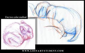 1st grade, 2nd grade, 3rd grade, 4th grade, 5th grade, animals, cartoon drawing, crayons, drawing, how to draw tutorials, view by grade |. Animal Life Drawing Lesson