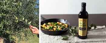 Organic Pasta Sauce Lucini Italia Extra Virgin Olive Oil Organic Pasta Organic Pasta Sauce Pasta Sauce