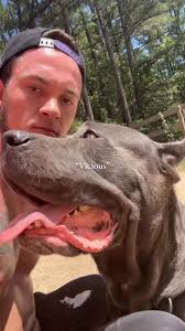 Cand Dalton Hiko Baba