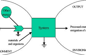 Ecosystem As An Open System Odum 1993 Download Scientific Diagram