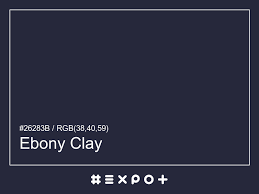 Ebony Clay Color Information