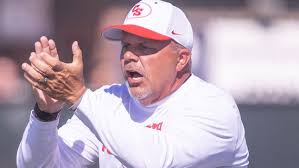 Ohio high school football, Canton South Wildcats 2024 preview