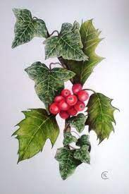 227 holly and ivy bildbanksfoton och bilder. 46 The Holly And The Ivy Ideas Holly Ivy Christmas