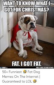 Make your own images with our meme generator or animated gif maker. Funny Fat Dog Posted By Ethan Johnson