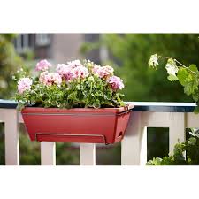 We did not find results for: Culori Delicate Pre Comanda Nou Stil Ghivece De Balcon Bobbysaxmusic Com