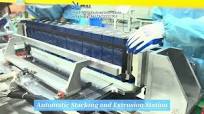 Automatic Battery PACK Assembly Line for lithium-ion prismatic module and  pack 12PPM