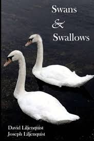 Swans and Swallows: Liljenquist, David K., Liljenquist, Joseph K.:  9781508638315: Amazon.com: Books