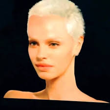 By Sebastian Faena, David Lipman, Lisa Storey, Bob Racine, Garth Condit