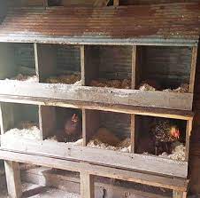 50 Surprising Chicken Nesting Box Ideas Backyard Poultry Chicken Nesting Boxes Chicken Diy Diy Chicken Coop