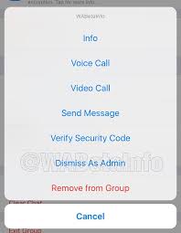 (2.18.67) whatsapp payment apk update.for (whatsapp payments now showing for beta testers in india) search for the perfect animated gif right from within whatsapp. Whatsapp Is Rolling Out The Dismiss As Admin Feature Wabetainfo