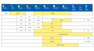 Acceder a la credencial de trasplantado en formato digital. Vacunas E Inmunizacion Centros Para El Control Y La Prevencion De Enfermedades Cdc