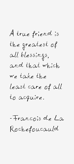 A True Friend Is The Greatest Of All Blessings Francois De La Rochefoucauld Quotes Sayings In 2020 Quotes Interesting Quotes Famous Quotes