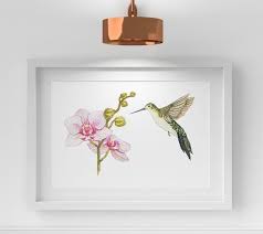 Bird Print Hummingbird And Orchid Bird Wall Decor Colibri Home Etsy