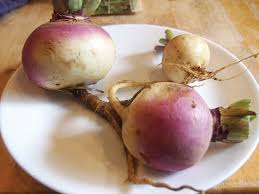 Turnips may spoil if you time travel. Turnips Sbs Gardening