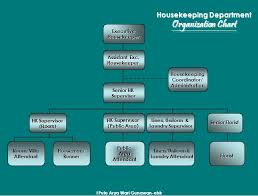 organizational chart hierarchy of a housekeeping department