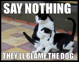 Ssssh No Dgas Nada Le Van A Echar La Culpa Al Perro Say Nothing Funny Memes Dogs Cat Cats Meme Lol Funny Quote Funny Cat Memes Funny Cats Funny Animals
