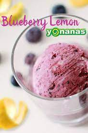 Lemon Blueberry Yonanas Yonanas North America Recipe Yonanas Yonanas Recipe Dessert Bullet Recipes