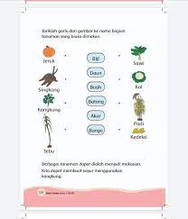 Pasangkan ayo ceritakan 94 buku siswa kelas i sd/mi 99. Kunci Jawaban Tema 7 Kelas 1 Halaman 115 116 117 118 119 120 121 122 123 124 Buku Tematik Bagian Tanaman Makan Metro Lampung News