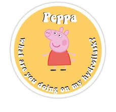 Pin On Products