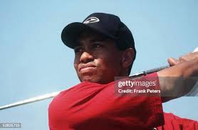 317 Tiger Woods Deutsche Bank Sap Open Photos & High Res Pictures