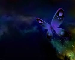 Beautiful Black And Purple Butterfly Butterfly Desktop Wallpaper Purple Desktop Butterfly Background Wallpapers Butterfly Back Blue Butterfly Wallpaper Butterfly Wallpaper Butterfly Background