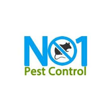 Once you locate the entry point, repair the area so that it no. 48 Termite Control Ideas Termite Control Pest Control Termites