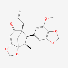 Image result for Cryptocarya liebertiana