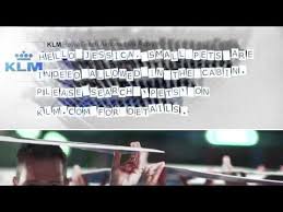Klm The Dutch Airline Takes Twitter Literally Personal Soziale Netzwerke Kampagne Infografik