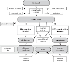 Which of the following are true statements about limited data sets?. Phyloflash Rapid Small Subunit Rrna Profiling And Targeted Assembly From Metagenomes Msystems