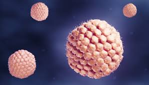 Herpes zoster: dieci cose da sapere sul Fuoco di SantAntonio - la  Repubblica