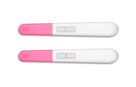 197 Ovulation Strip Stock Photos Pictures Royalty Free Images Istock