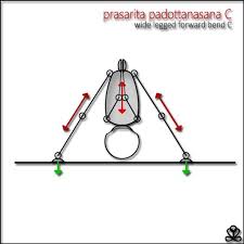 Prasarita Padottanasana C Wide Legged Forward Bend C Pose