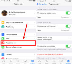 Skachat Whatsapp Na Iphone Besplatno Na Russkom Yazyke
