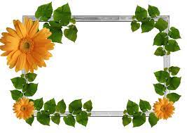 Orange Flowers And Green Leaves Picture Frame Png 1280 904 Flower Frame Png Flower Frame Flower Border Png