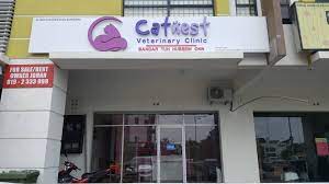 Maybe you would like to learn more about one of these? Catnest Veterinary Clinic Home Facebook