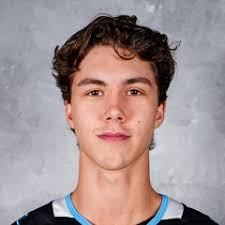 2024 Texas Stars vs Tucson Roadrunners