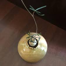 Image result for Adenia stenodactyla