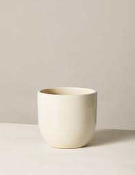 18 inches tall, 48 inches wide. A Guide For Choosing The Right Pot For Your Plant Plant Care Tips The Sill