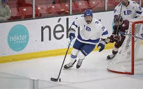 Spartans Men's Hockey Score Twice in Home Loss